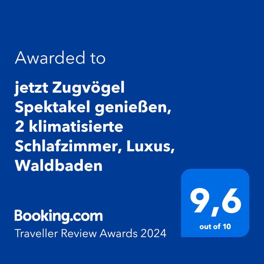 5 Sterne Bahnhoftraum, Appartement "Waldliebe" 133Qm, Grosse Terrasse 70Qm, Qr Code Scannen Fuer Virtuellen Rundgang, Premium Ausstattung 바라운펠츠 외부 사진