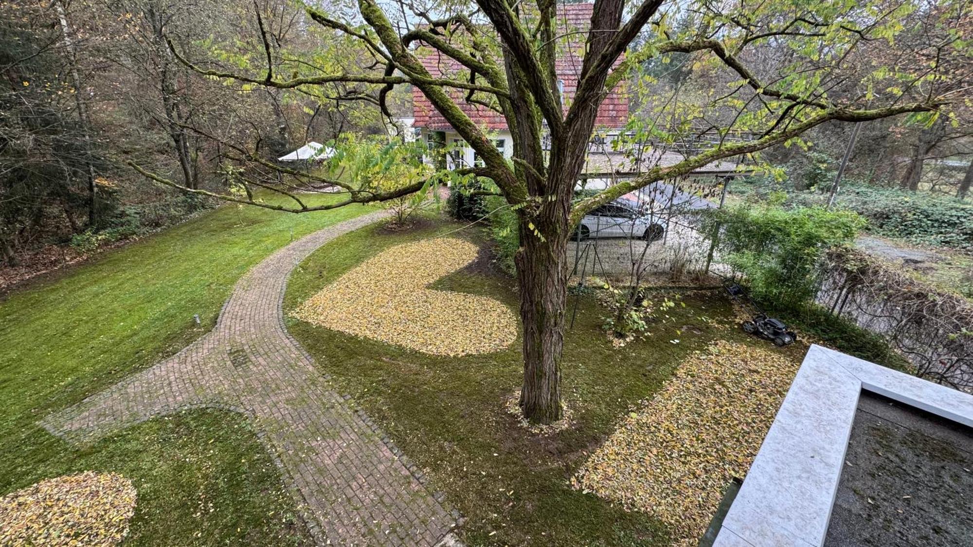 5 Sterne Bahnhoftraum, Appartement "Waldliebe" 133Qm, Grosse Terrasse 70Qm, Qr Code Scannen Fuer Virtuellen Rundgang, Premium Ausstattung 바라운펠츠 외부 사진